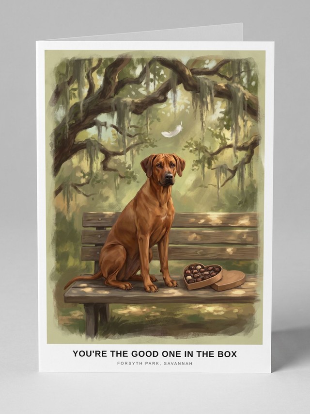 The Bench in Savannah &mdash; the card you will receive