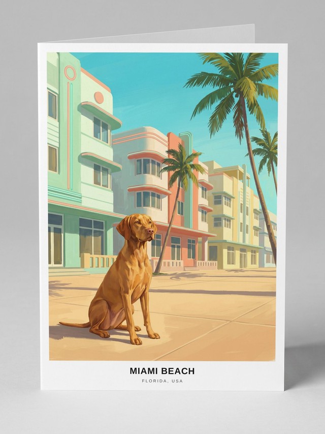 Miami Beach &mdash; the card you will receive