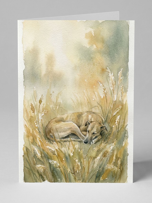 Quiet Meadow &mdash; the card you will receive