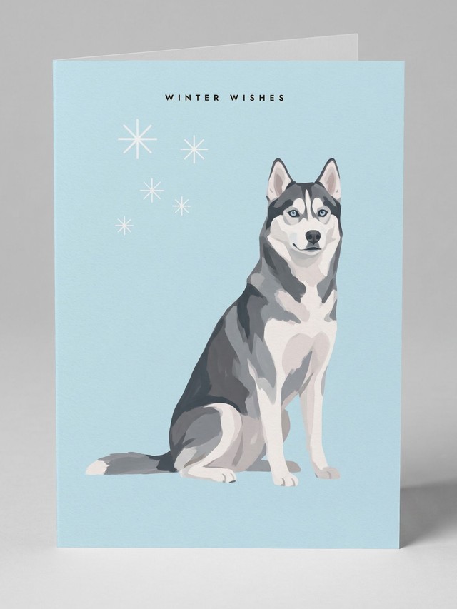 Ice Blue Hush &mdash; the card you will receive