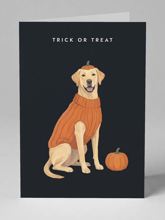 Pumpkin Knit &mdash; the card you will receive
